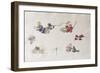 Autumn Fruits and Flowers, 2007-Caroline Hervey-Bathurst-Framed Giclee Print