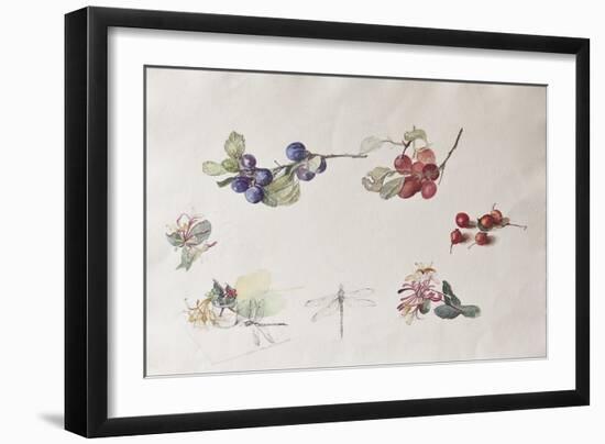 Autumn Fruits and Flowers, 2007-Caroline Hervey-Bathurst-Framed Giclee Print