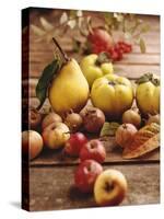 Autumn Fruits: Quinces, Medlars, Rowan Berries, Apples & Pears-Luzia Ellert-Stretched Canvas