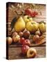 Autumn Fruits: Quinces, Medlars, Rowan Berries, Apples & Pears-Luzia Ellert-Stretched Canvas