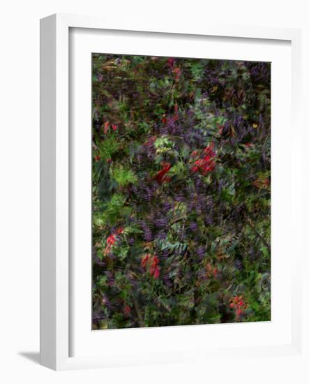 Autumn Fruits-Doug Chinnery-Framed Photographic Print