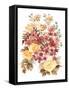 Autumn Garden Bouquet II-Ania Zwara-Framed Stretched Canvas