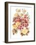 Autumn Garden Bouquet II-Ania Zwara-Framed Art Print