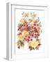 Autumn Garden Bouquet II-Ania Zwara-Framed Art Print