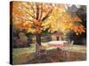 Autumn Garden-Victor Charreton-Stretched Canvas