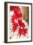 Autumn Garland-Philippe Sainte-Laudy-Framed Photographic Print