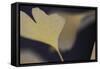 Autumn Gingko II-Rita Crane-Framed Stretched Canvas