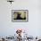 Autumn Gingko IV-Rita Crane-Framed Photographic Print displayed on a wall