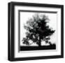 Autumn Glory-Erin Clark-Framed Giclee Print