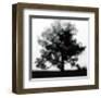 Autumn Glory-Erin Clark-Framed Giclee Print