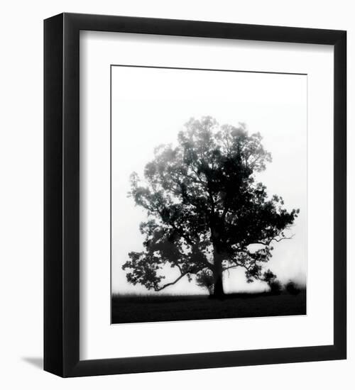 Autumn Glory-Erin Clark-Framed Art Print