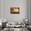 Autumn Glow Crop v2-Julia Purinton-Framed Stretched Canvas displayed on a wall