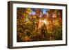 Autumn Glow-SHS Photography-Framed Photographic Print