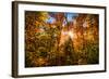 Autumn Glow-SHS Photography-Framed Photographic Print