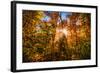 Autumn Glow-SHS Photography-Framed Photographic Print