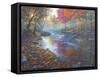 Autumn Glow-Bruce Dumas-Framed Stretched Canvas