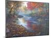 Autumn Glow-Bruce Dumas-Mounted Giclee Print