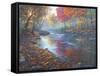 Autumn Glow-Bruce Dumas-Framed Stretched Canvas