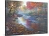 Autumn Glow-Bruce Dumas-Stretched Canvas