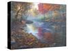 Autumn Glow-Bruce Dumas-Stretched Canvas