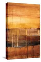 Autumn Glows I-Lanie Loreth-Stretched Canvas