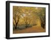 Autumn Gold-Diane Romanello-Framed Art Print