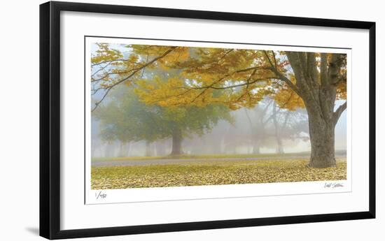 Autumn Gold-Donald Satterlee-Framed Limited Edition