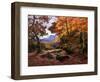 Autumn Gold-Alfred Oliver-Framed Giclee Print