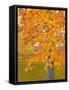 Autumn Gold-J Charles-Framed Stretched Canvas