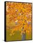 Autumn Gold-J Charles-Framed Stretched Canvas