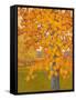 Autumn Gold-J Charles-Framed Stretched Canvas