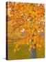 Autumn Gold-J Charles-Stretched Canvas