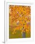 Autumn Gold-J Charles-Framed Art Print