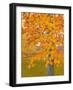 Autumn Gold-J Charles-Framed Art Print