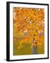 Autumn Gold-J Charles-Framed Art Print