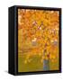 Autumn Gold-J Charles-Framed Stretched Canvas