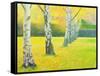 Autumn Gold-William Ireland-Framed Stretched Canvas