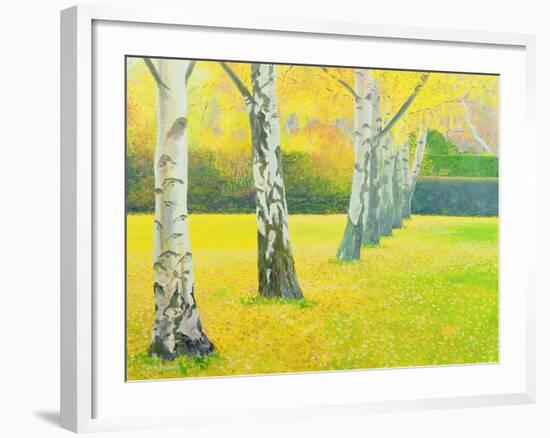 Autumn Gold-William Ireland-Framed Giclee Print