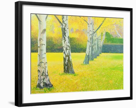 Autumn Gold-William Ireland-Framed Giclee Print