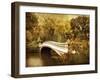 Autumn Gold-Jessica Jenney-Framed Giclee Print