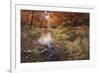 Autumn Gold-Bill Makinson-Framed Giclee Print