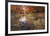 Autumn Gold-Bill Makinson-Framed Giclee Print