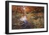 Autumn Gold-Bill Makinson-Framed Giclee Print