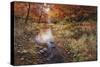 Autumn Gold-Bill Makinson-Stretched Canvas