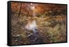 Autumn Gold-Bill Makinson-Framed Stretched Canvas