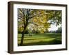 Autumn Golf-Charles Bowman-Framed Premium Photographic Print