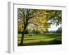 Autumn Golf-Charles Bowman-Framed Premium Photographic Print