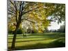Autumn Golf-Charles Bowman-Mounted Premium Photographic Print
