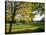 Autumn Golf-Charles Bowman-Stretched Canvas