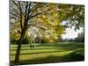 Autumn Golf-Charles Bowman-Mounted Photographic Print